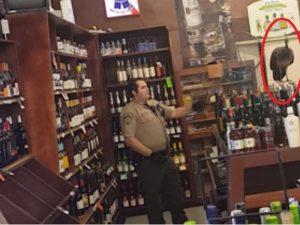 Arcadia Peacock with Expensive Taste Ransacks Liquor Store