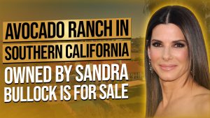 Talk to Paul TTP Avocado Ranch in Southern California owned by Sandra Bullock is for sale Cover